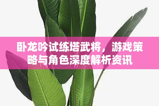 游戏策略与角色深度解析资讯图片