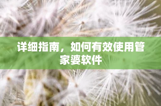 如何有效使用管家婆软件图片