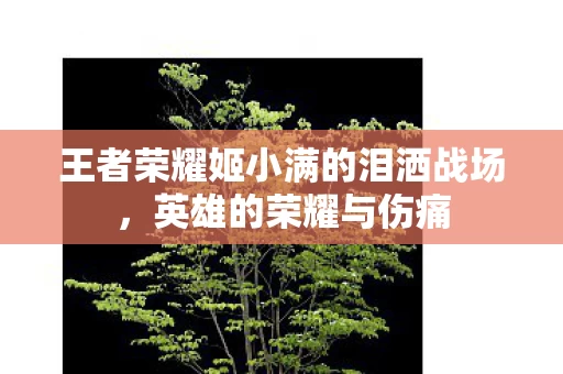 王者荣耀姬小满的泪洒战场图片