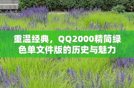 QQ2000精简绿色单文件版的历史与魅力图片