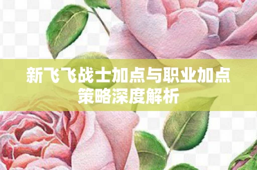 新飞飞战士加点与职业加点策略深度解析图片
