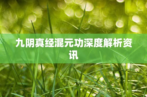 九阴真经混元功深度解析资讯图片