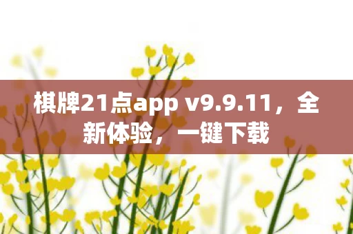 棋牌21点app v9图片