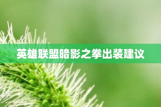 英雄联盟暗影之拳出装建议图片