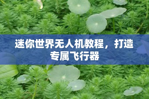 迷你世界无人机教程图片