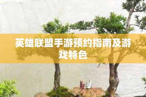 英雄联盟手游预约指南及游戏特色图片