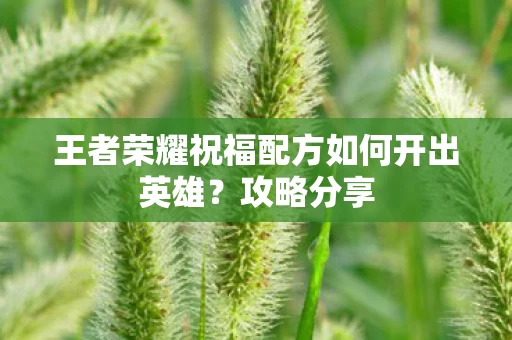 王者荣耀祝福配方如何开出英雄图片