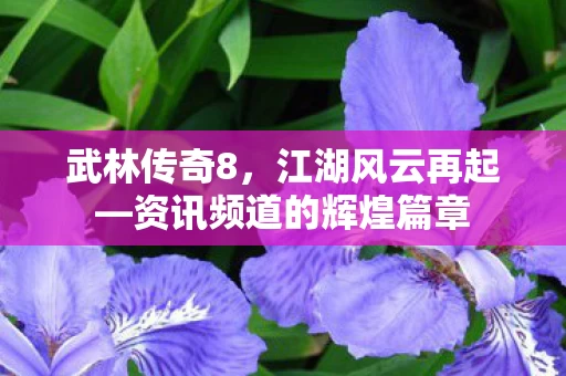 资讯频道的辉煌篇章图片