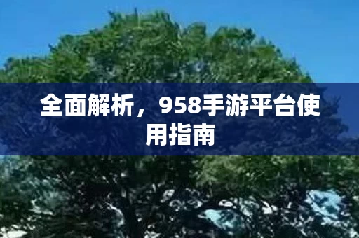 958手游平台使用指南图片