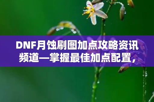 DNF月蚀刷图加点攻略资讯频道图片