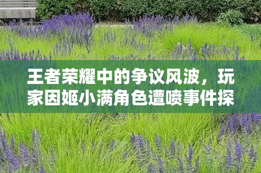 玩家因姬小满角色遭喷事件探讨图片