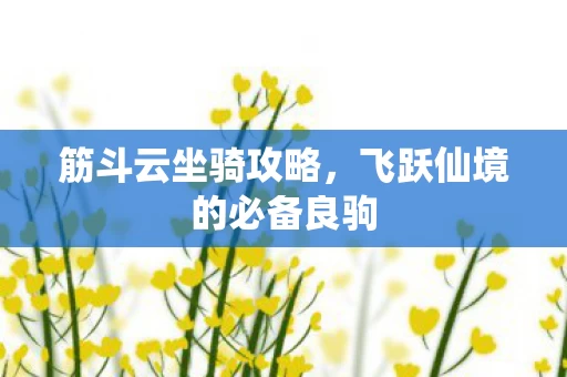 飞跃仙境的必备良驹图片