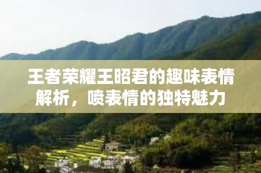 王者荣耀王昭君的趣味表情解析图片