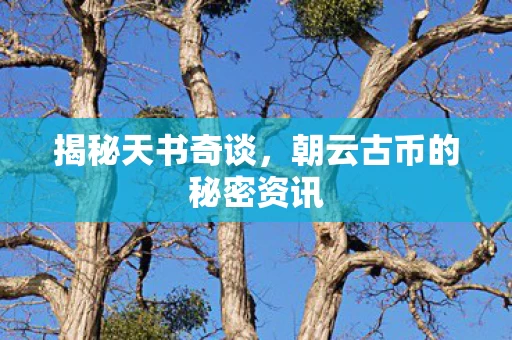 朝云古币的秘密资讯图片