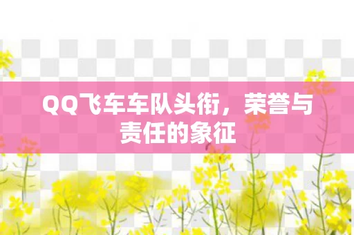 QQ飞车车队头衔图片