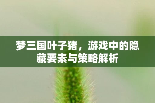 游戏中的隐藏要素与策略解析图片