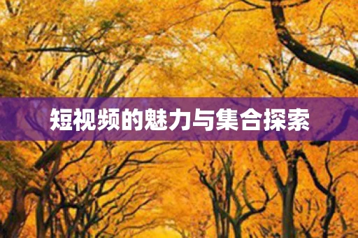 短视频的魅力与集合探索图片