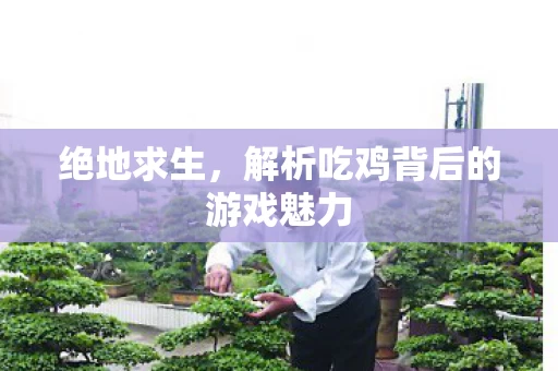 解析吃鸡背后的游戏魅力图片