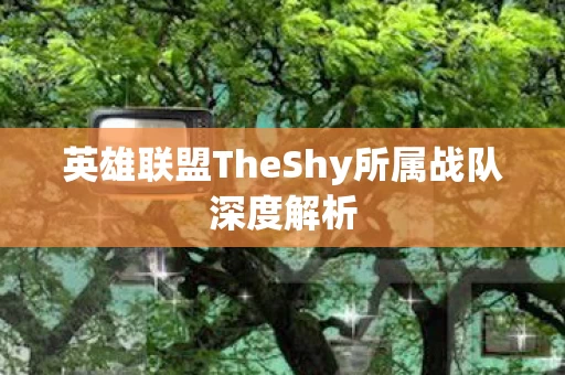 英雄联盟TheShy所属战队深度解析图片