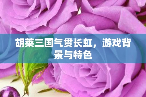 胡莱三国气贯长虹图片
