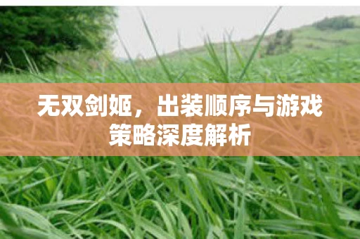 出装顺序与游戏策略深度解析图片
