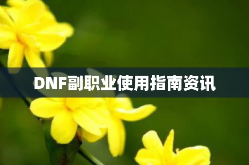 DNF副职业使用指南资讯图片