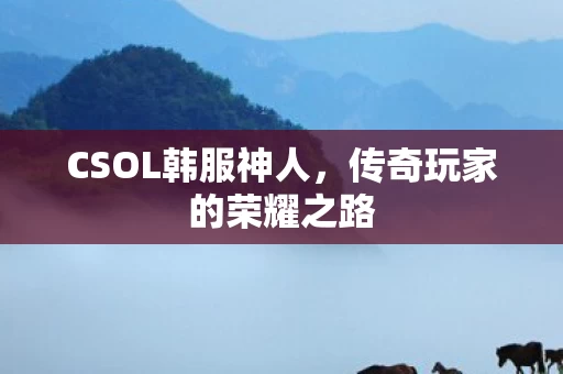 传奇玩家的荣耀之路图片