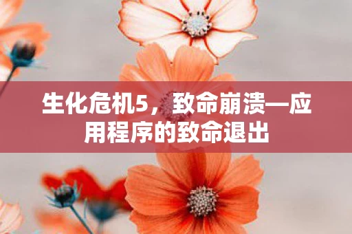 应用程序的致命退出图片