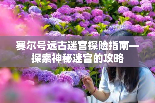 赛尔号远古迷宫探险指南图片