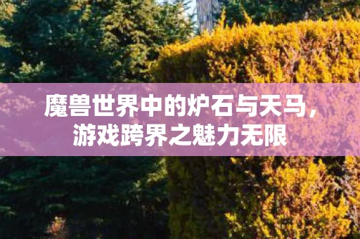 魔兽世界中的炉石与天马图片