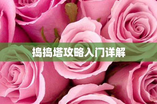 捣捣塔攻略入门详解图片