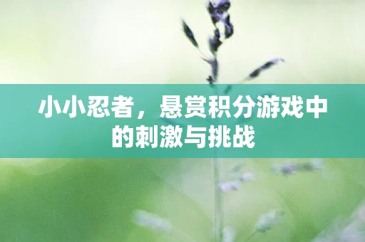 悬赏积分游戏中的刺激与挑战图片