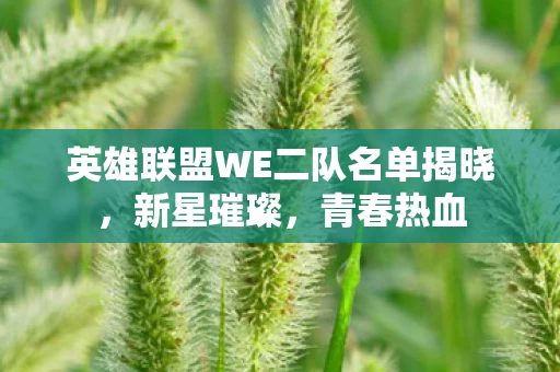 英雄联盟WE二队名单揭晓图片