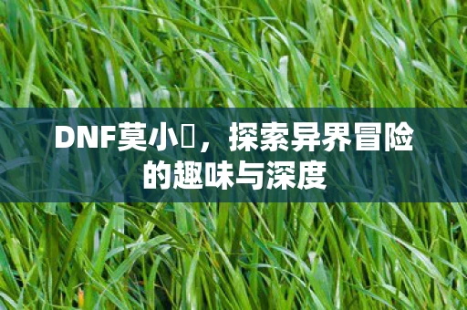 探索异界冒险的趣味与深度图片
