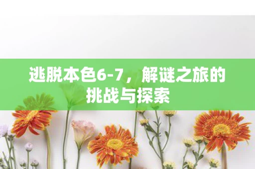 解谜之旅的挑战与探索图片