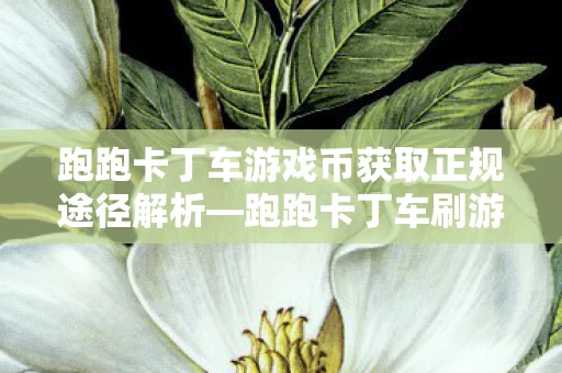 跑跑卡丁车游戏币获取正规途径解析图片