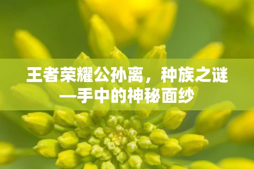 王者荣耀公孙离图片
