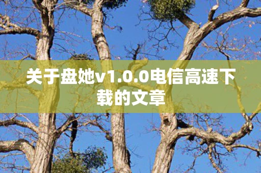 0电信高速下载的文章图片