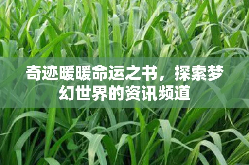 探索梦幻世界的资讯频道图片