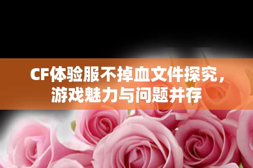 CF体验服不掉血文件探究图片