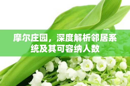 深度解析邻居系统及其可容纳人数图片