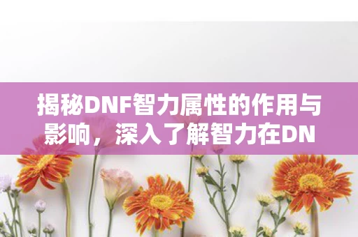 深入了解智力在DNF中的多重用途图片