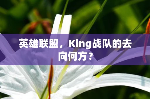 King战队的去向何方图片