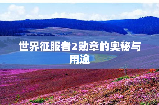 世界征服者2勋章的奥秘与用途图片