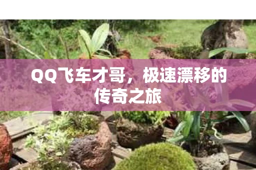 极速漂移的传奇之旅图片