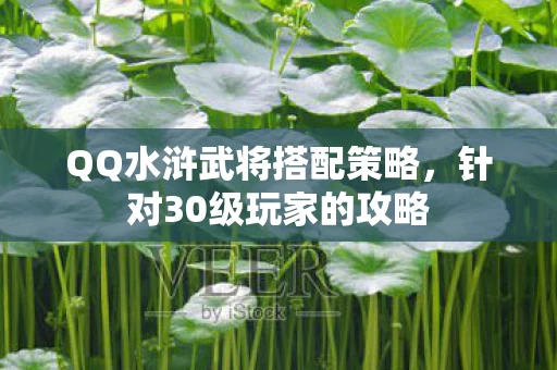 QQ水浒武将搭配策略图片