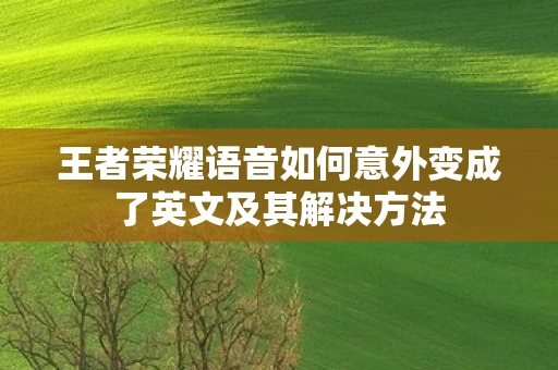 王者荣耀语音如何意外变成了英文及其解决方法图片