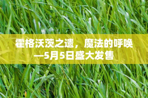 5月5日盛大发售图片