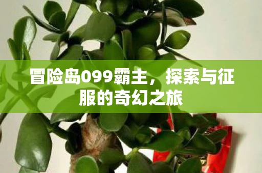 探索与征服的奇幻之旅图片