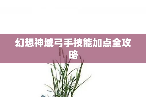 幻想神域弓手技能加点全攻略图片